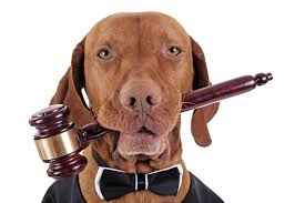 Animal law